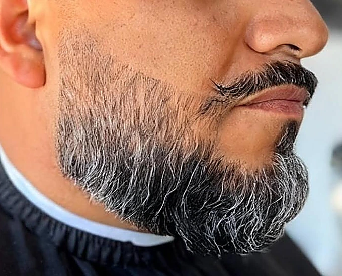 Barba canosa perfilada con bigote, vista de lado